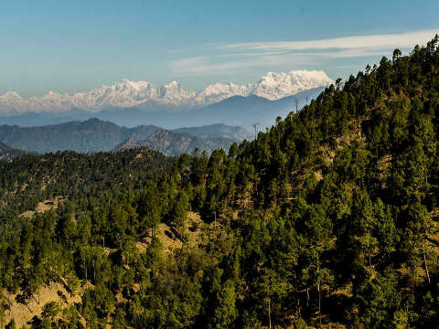 Hotel In Binsar