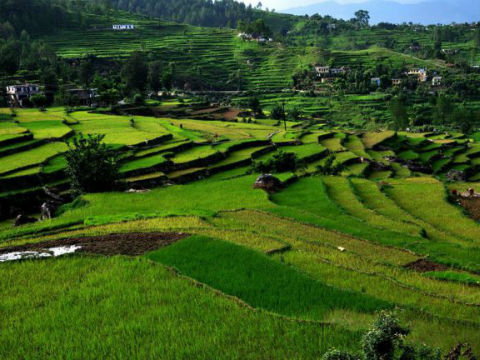 Hotel In Kausani